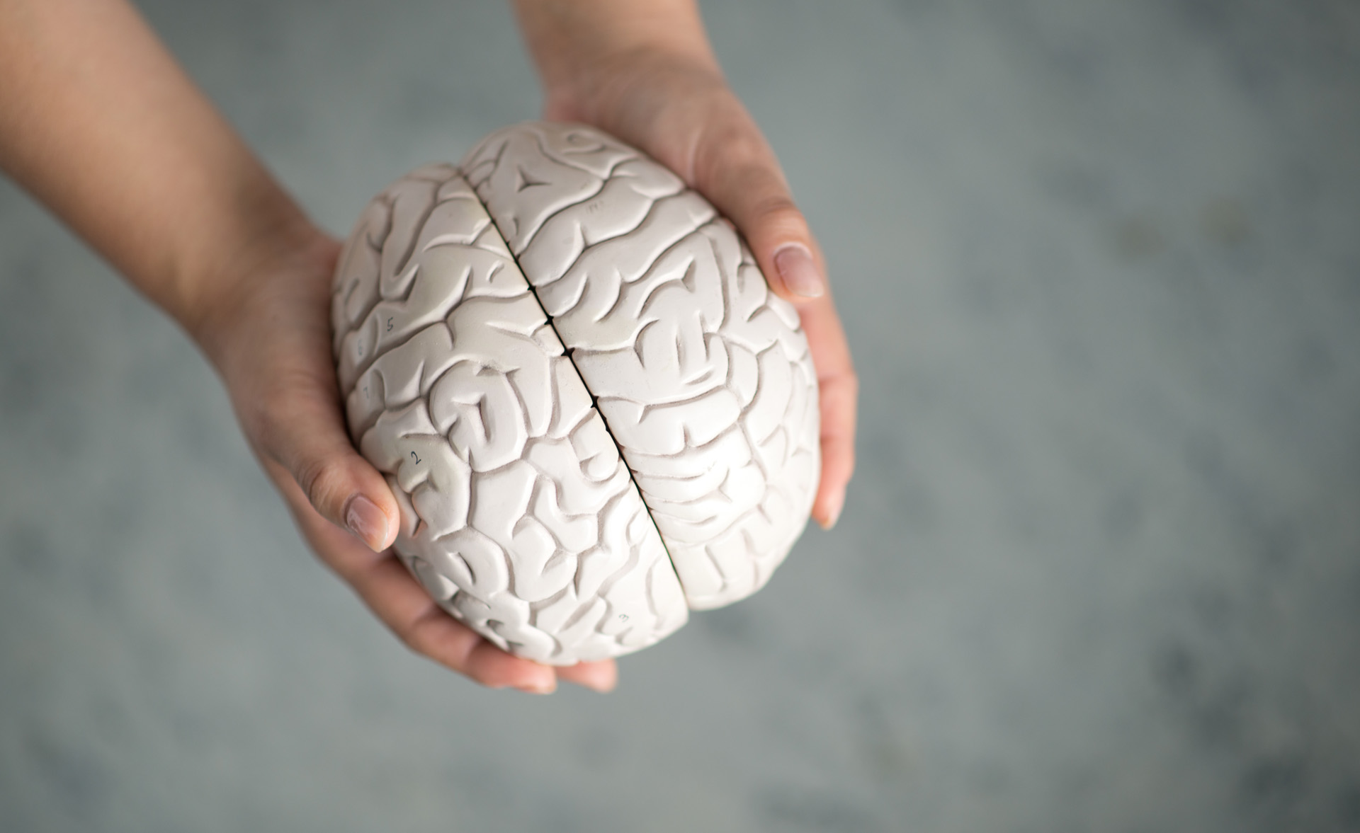 Hjerneuken – vil du vite mer om hodepine og hjerneslag?