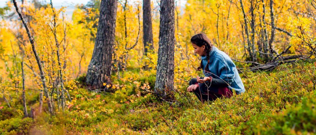 Kvinne som sitter i en skog med gule blader om høsten